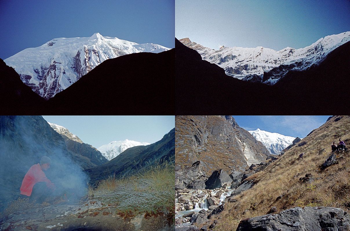 301 Tilicho Peak And Annaurna Ridge To Fang, Ang Phuri Sherpa  Burning Juniper For Mountain Deities, Trail Hugs The Miristi Khola